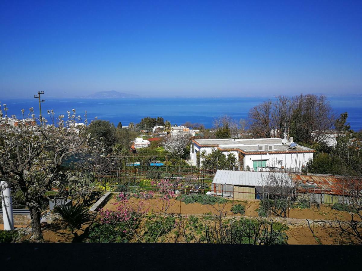 Maryhome Anacapri (Isola di Capri) Exterior foto